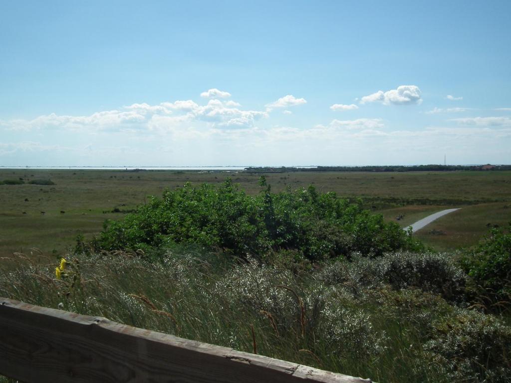 Hollumerduinen Hollum (Ameland) Exterior foto