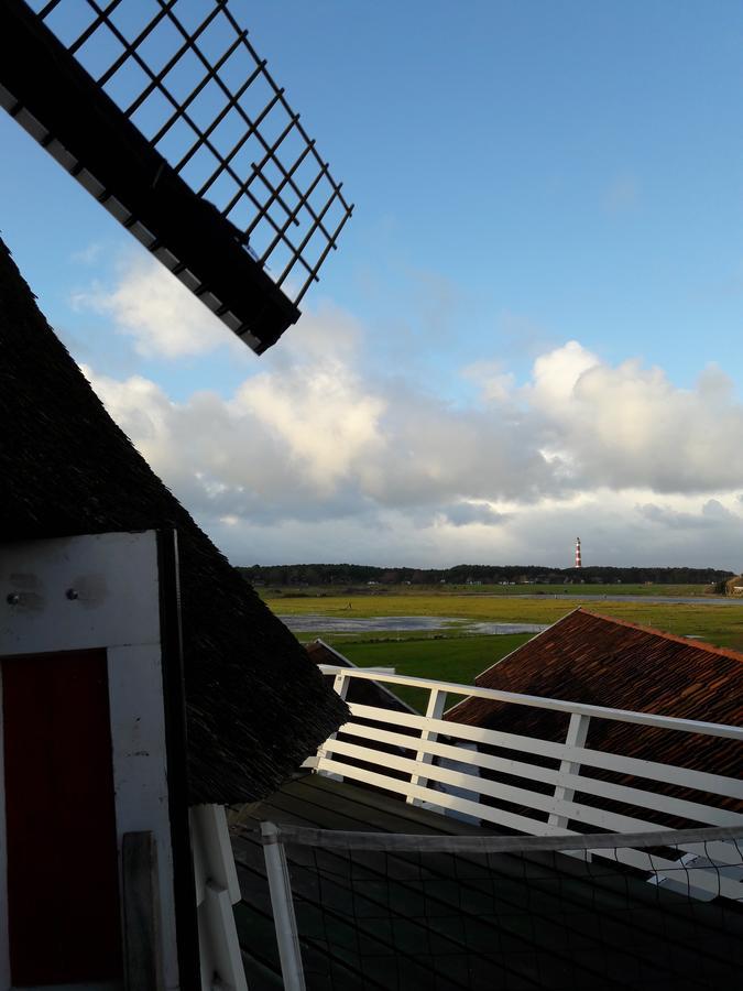 Hollumerduinen Hollum (Ameland) Exterior foto